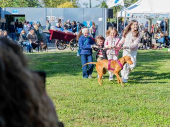 ENPA animal shelter event 2025 | © Gaia Capone Photographer